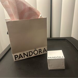 Pandora Charm Bracelet Still in Box